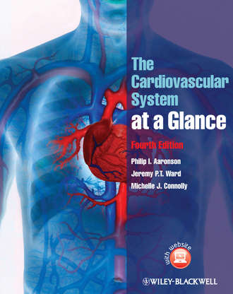Jeremy P. T. Ward. The Cardiovascular System at a Glance