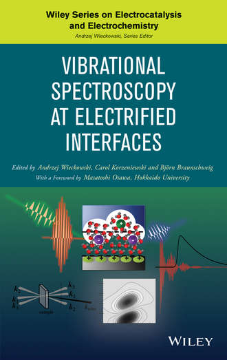 Vibrational Spectroscopy at Electrified Interfaces. Bj?rn Braunschweig