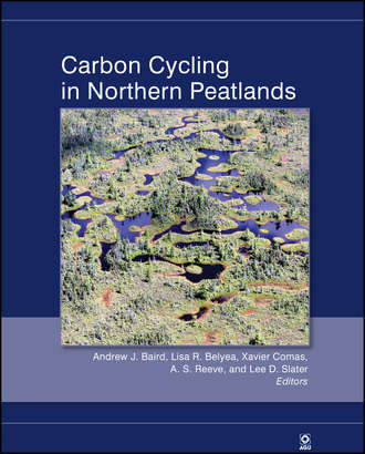 Группа авторов. Carbon Cycling in Northern Peatlands