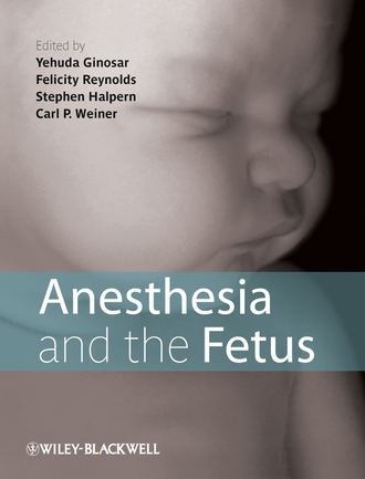 Группа авторов. Anesthesia and the Fetus