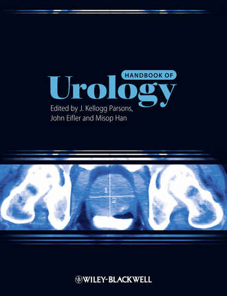 Группа авторов. Handbook of Urology