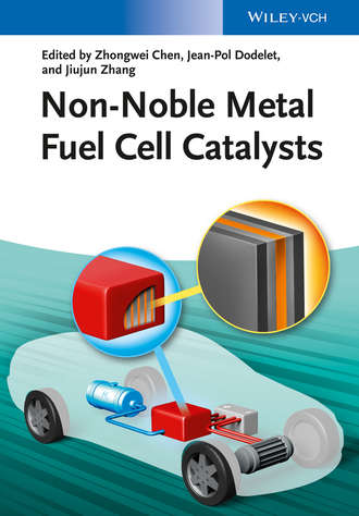 Группа авторов. Non-Noble Metal Fuel Cell Catalysts