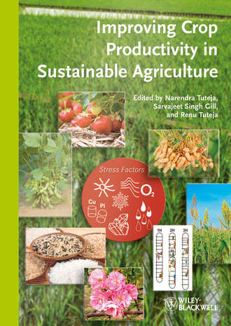 Группа авторов. Improving Crop Productivity in Sustainable Agriculture