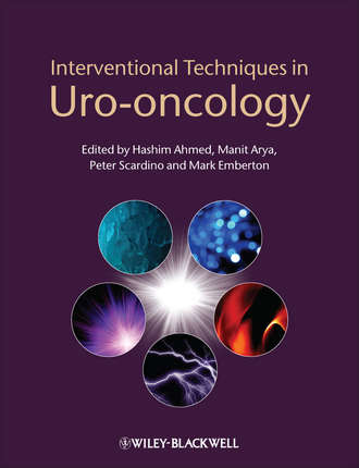 Группа авторов. Interventional Techniques in Uro-oncology