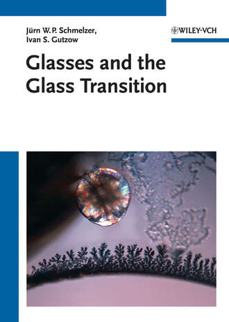 Ivan S. Gutzow. Glasses and the Glass Transition
