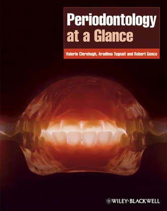 Periodontology at a Glance. Robert J. Genco