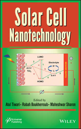 Группа авторов. Solar Cell Nanotechnology