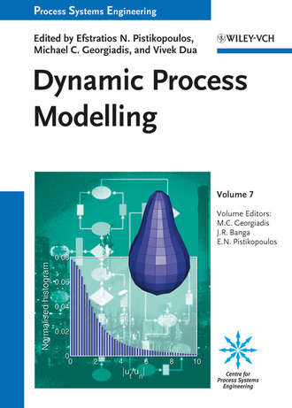 Julio Banga R.. Dynamic Process Modeling