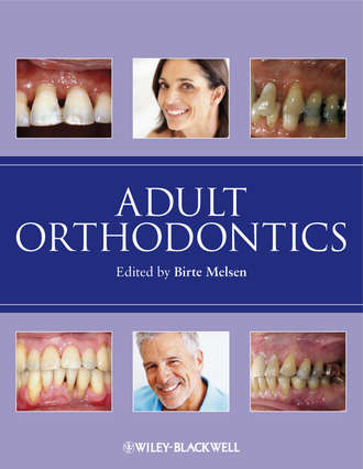 Adult Orthodontics. Birte  Melsen