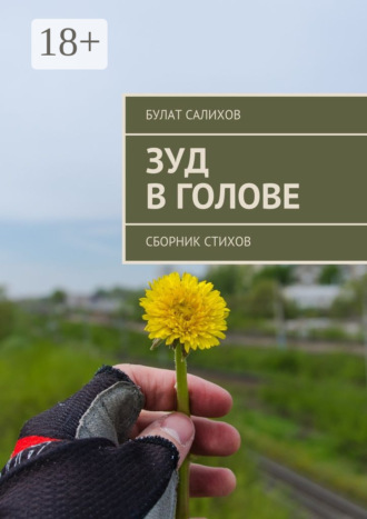 Зуд в голове. Сборник стихов. Булат Салихов