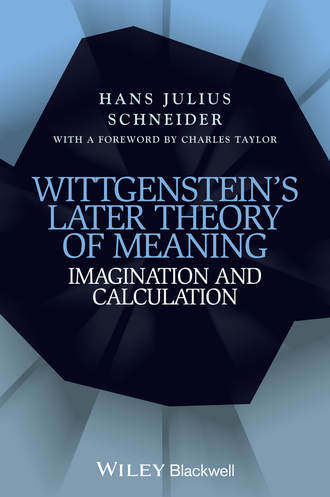 Hans Schneider Julius. Wittgenstein's Later Theory of Meaning. Imagination and Calculation