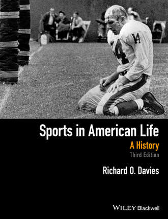 Richard O. Davies. Sports in American Life
