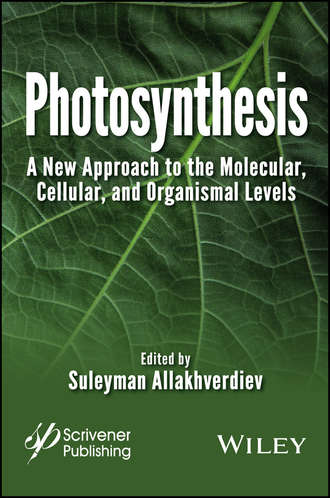 Группа авторов. Photosynthesis