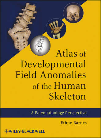 Ethne Barnes. Atlas of Developmental Field Anomalies of the Human Skeleton