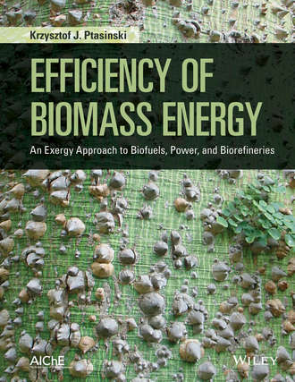 Krzysztof J. Ptasinski. Efficiency of Biomass Energy