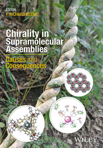 Chirality in Supramolecular Assemblies. Группа авторов