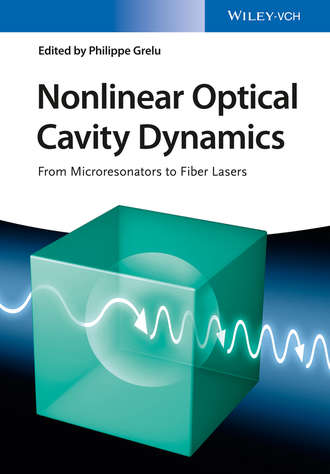Группа авторов. Nonlinear Optical Cavity Dynamics