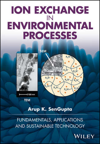 Arup K. SenGupta. Ion Exchange in Environmental Processes