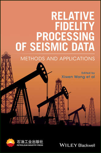 Группа авторов. Relative Fidelity Processing of Seismic Data