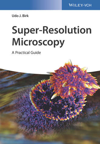 Udo J. Birk. Super-Resolution Microscopy