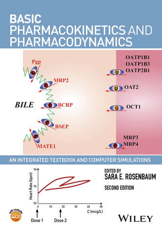 Группа авторов. Basic Pharmacokinetics and Pharmacodynamics