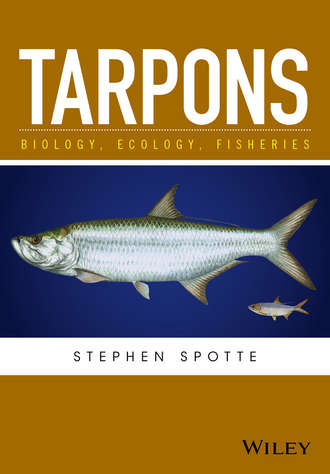 Stephen  Spotte. Tarpons