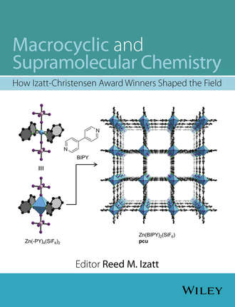 Группа авторов. Macrocyclic and Supramolecular Chemistry