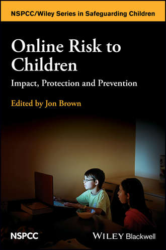 Группа авторов. Online Risk to Children