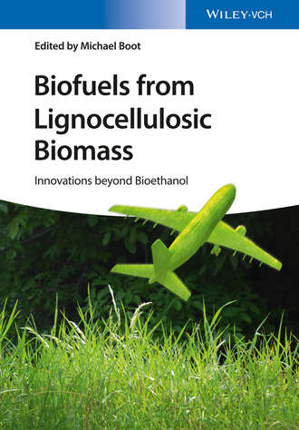 Michael Boot. Biofuels from Lignocellulosic Biomass