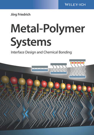 J?rg Friedrich. Metal-Polymer Systems