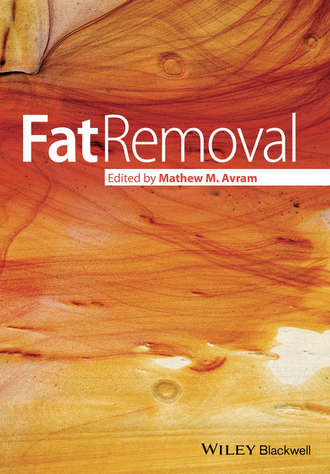 Fat Removal. Группа авторов