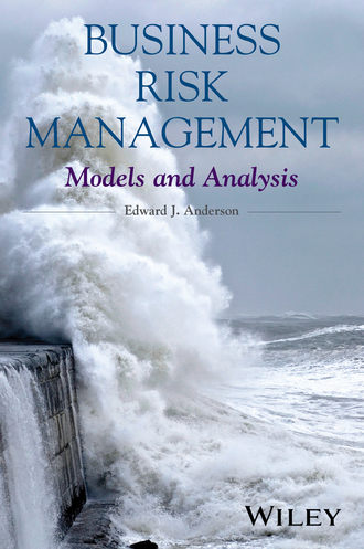 Edward J. Anderson. Business Risk Management