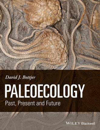 David J. Bottjer. Paleoecology