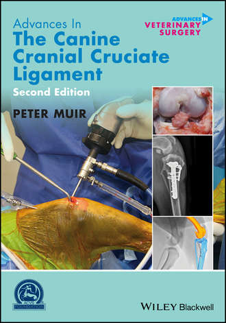Peter Muir. Advances in the Canine Cranial Cruciate Ligament