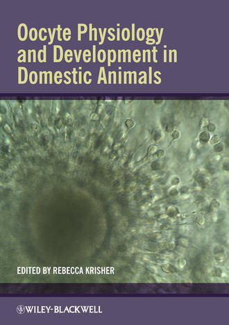 Группа авторов. Oocyte Physiology and Development in Domestic Animals