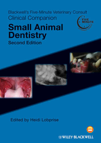 Blackwell's Five-Minute Veterinary Consult Clinical Companion. Группа авторов