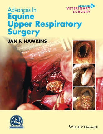 Advances in Equine Upper Respiratory Surgery. Группа авторов