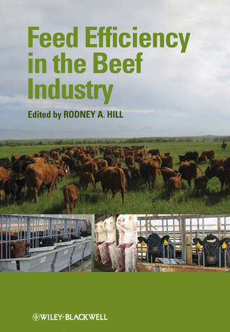 Группа авторов. Feed Efficiency in the Beef Industry