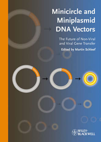 Группа авторов. Minicircle and Miniplasmid DNA Vectors