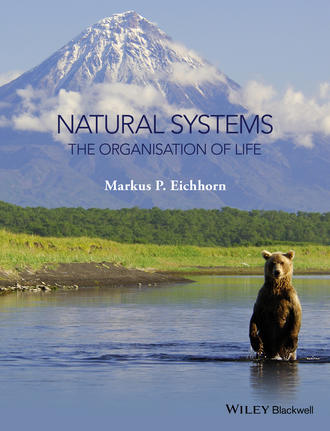 Markus Eichhorn. Natural Systems