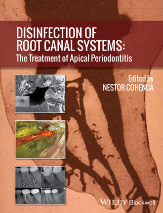 Группа авторов. Disinfection of Root Canal Systems