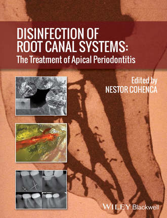 Disinfection of Root Canal Systems. Группа авторов