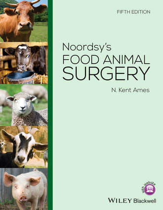 Noordsy's Food Animal Surgery. N. Kent Ames