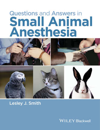 Группа авторов. Questions and Answers in Small Animal Anesthesia
