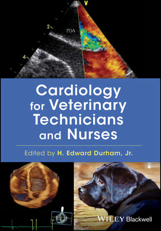 Группа авторов. Cardiology for Veterinary Technicians and Nurses