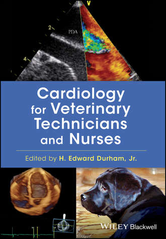 Cardiology for Veterinary Technicians and Nurses. Группа авторов