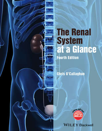 Christopher O'Callaghan. The Renal System at a Glance