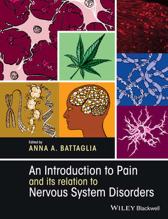 Группа авторов. An Introduction to Pain and its relation to Nervous System Disorders