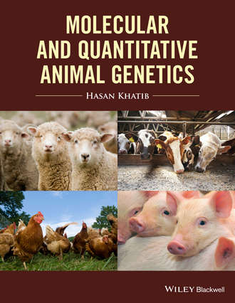 Hasan Khatib. Molecular and Quantitative Animal Genetics