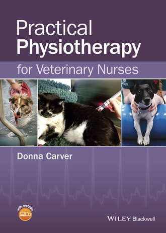 Practical Physiotherapy for Veterinary Nurses. Donna  Carver